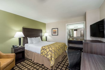 Room, 1 Queen Bed, Non Smoking