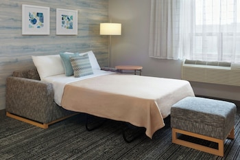 Studio, 1 King Bed with Sofa bed