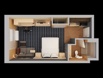 Studio, 1 King Bed with Sofa bed