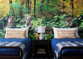 Family Room, 1 King Bed
