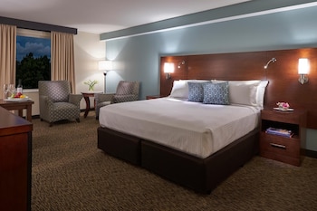 Deluxe Room, 1 King Bed (Standard | View)