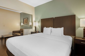Suite, 1 King Bed, Non Smoking, Refrigerator & Microwave (with Sofabed)
