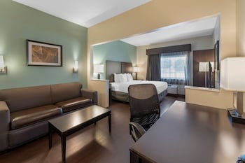 Suite, 1 King Bed, Accessible, Non Smoking (with Sofabed)