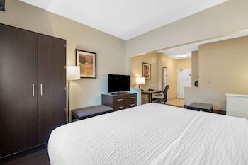 Suite, 1 King Bed, Non Smoking, Refrigerator & Microwave (with Sofabed)