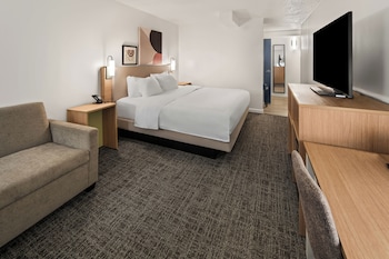 Room, 1 King Bed with Sofa bed