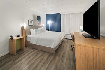 Room, 1 King Bed