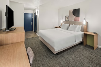 Room, 1 King Bed