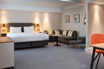 Standard Room, 1 King Bed with Sofa bed