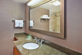 Suite, 1 King Bed