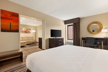 Suite, 1 King Bed
