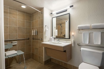 Room, 1 King Bed, Accessible (Mobility & Hearing, Roll-In Shower)