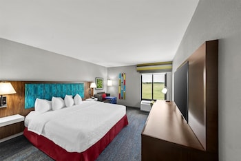Room, 1 King Bed, Accessible (Mobility & Hearing, 3x3 Shower)