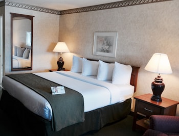 Standard Room, 1 King Bed, Non Smoking