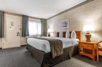 Room, 1 King Bed, Accessible, Non Smoking
