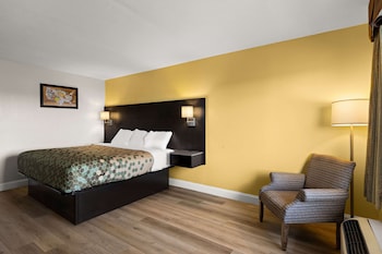 Standard Room, 1 King Bed, Non Smoking