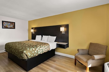 Room, 1 King Bed, Accessible, Non Smoking