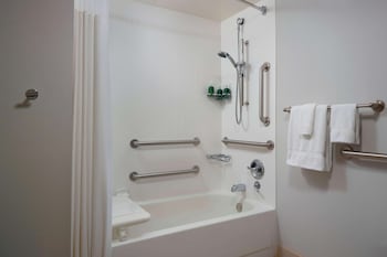 Room, 1 King Bed with Sofa bed, Accessible (Mobility Tub)