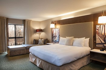 Standard Room, 1 King Bed, Non Smoking, Refrigerator & Microwave (View)