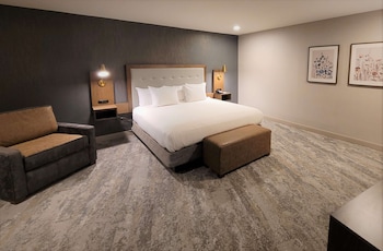 Suite, 1 King Bed, Non Smoking, Jetted Tub (Living Room;with Sofabed)