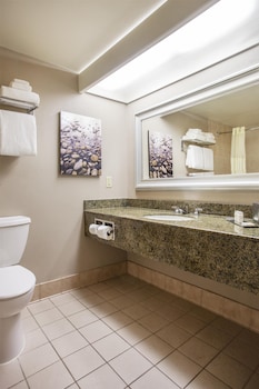 Standard Room, 1 King Bed, Non Smoking, Refrigerator & Microwave (View)