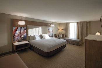 Standard Room, 1 King Bed, Non Smoking (Living Room;Shower Only;with Sofabed)