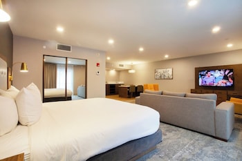 Suite, 1 King Bed, Non Smoking, Jetted Tub (Living Room;with Sofabed, View)