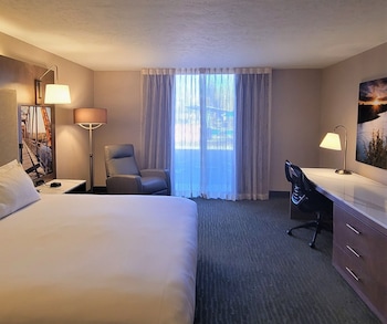 Standard Room, 1 King Bed, Non Smoking (Living Room;Shower Only;with Sofabed)