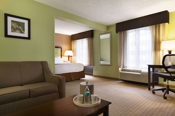 Business Room, 1 King Bed, Non Smoking