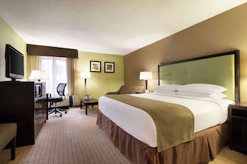 Room, 1 King Bed, Non Smoking
