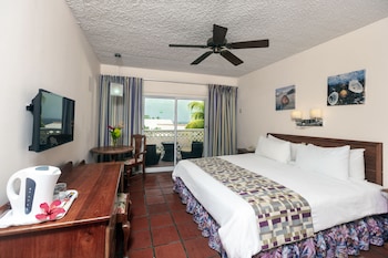 Standard Room, 1 King Bed, Garden View
