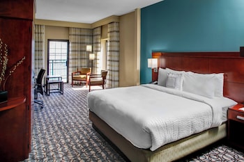 Room, 1 King Bed with Sofa bed