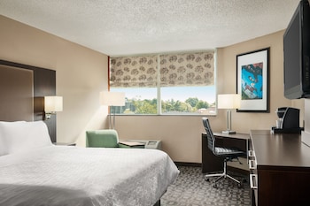 Standard Room, 1 King Bed