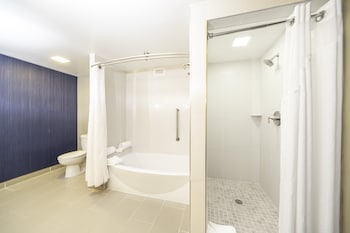 Suite, 1 Bedroom