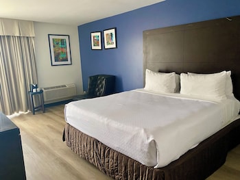 Room, 1 King Bed, Mobility Accessible, Non Smoking (Bathtub W/grab Bars)