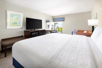 Room, 1 King Bed, Accessible, Non Smoking
