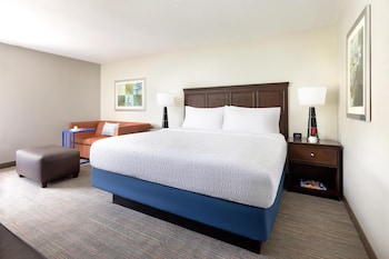 Room, 1 King Bed, Accessible, Non Smoking
