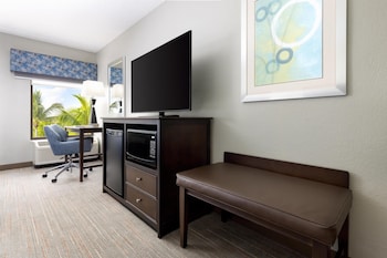 Room, 1 King Bed, Accessible, Non Smoking