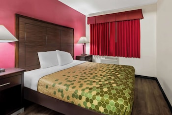 Room, Multiple Beds, Non Smoking