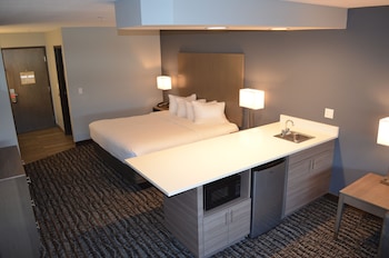 Suite, 1 King Bed with Sofa bed, Non Smoking