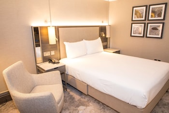 Executive Room, 1 Double Bed, Non Smoking (Walk-in Shower)