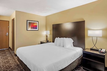Standard Room, 1 King Bed, Accessible, Bathtub