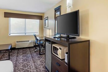 Standard Room, 1 King Bed, Accessible, Bathtub