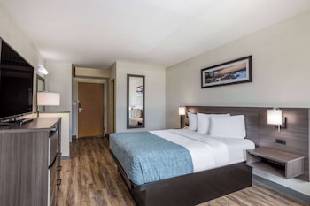 Room, 1 Queen Bed, Accessible, Non Smoking (Roll-In Shower)