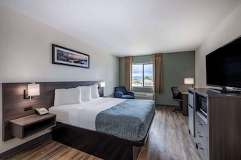 Suite, 1 King Bed, Non Smoking
