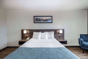 Room, 1 Queen Bed, Accessible, Non Smoking (Roll-In Shower)