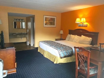 Room, 1 King Bed, Smoking