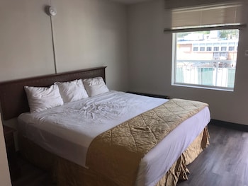 Room, 1 King Bed, Smoking
