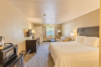 Business Room, 1 King Bed, Non Smoking