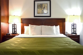 Room, 1 King Bed with Sofa bed, Non Smoking (2 person Sofa bed)