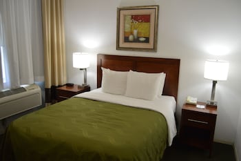 Room, 1 Queen Bed, Accessible, Non Smoking (Roll-In Shower)